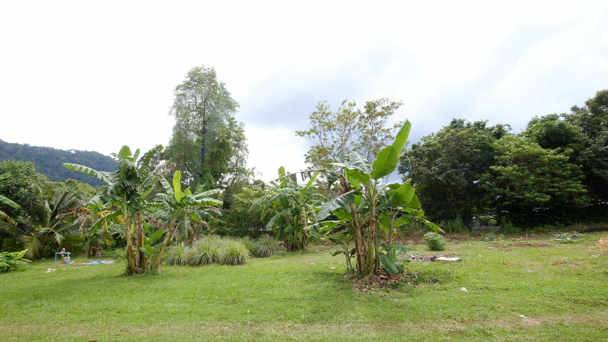 Hassana Garden Home Ko Lanta Dış mekan fotoğraf